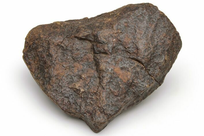 Chondrite Meteorite ( g) - Western Sahara Desert #232063